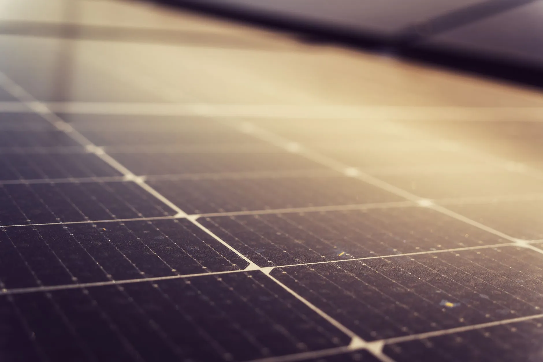 Solarmodule fangen Sonnenlicht ein