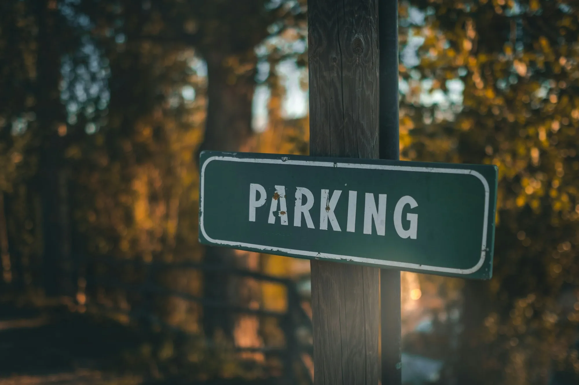 Grünes Parkplatzschild auf einem Holzpfosten